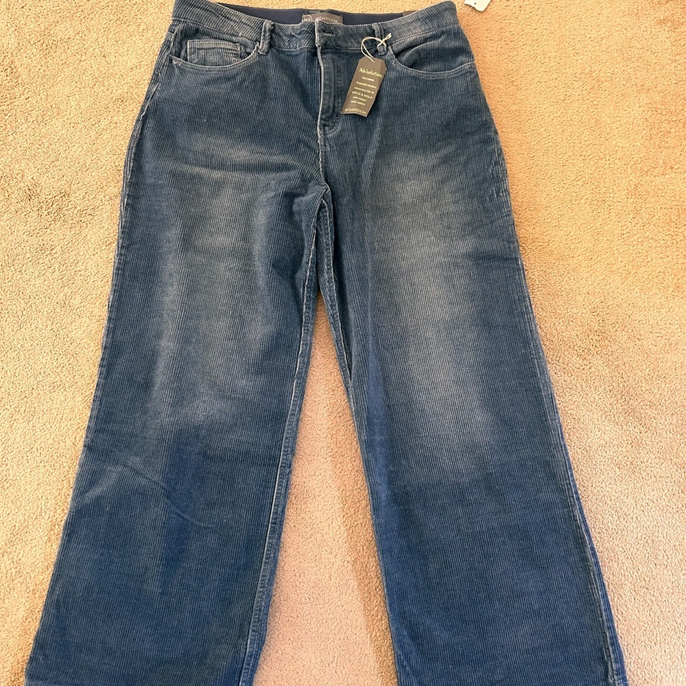 Wit and wisdom denim style curdory pant